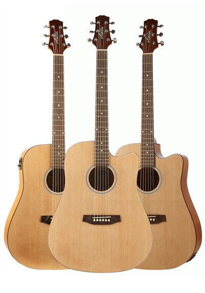 Ashton D20CEQ NTM 41Inch Dreadnought Cutaway Acoustic Guitar With EQ - Natural Matt Wood