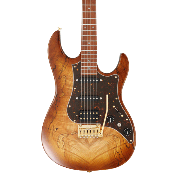 FGN EOS2-EW1-RM/HCB Odyssey Series Electric Guitar - Hojicha Burst