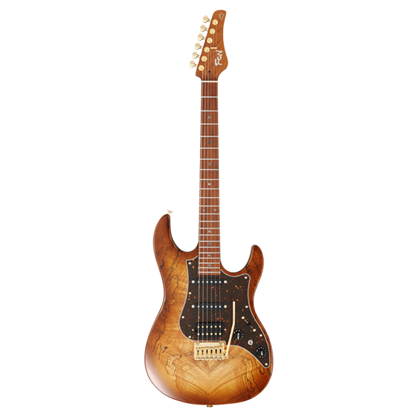 FGN EOS2-EW1-RM/HCB Odyssey Series Electric Guitar - Hojicha Burst