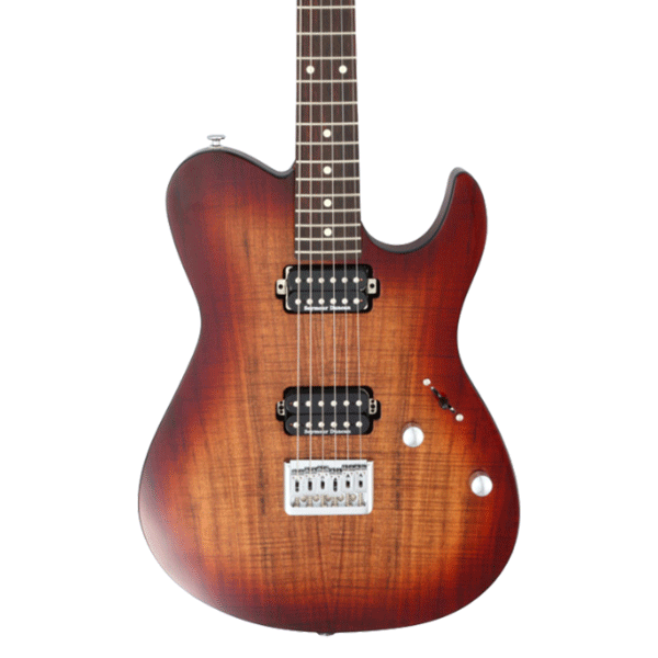 FGN JIL2-DU-EW2-R/KNB Iliad Series J Standard/Boundary Electric Guitar - Koa Natural Burst