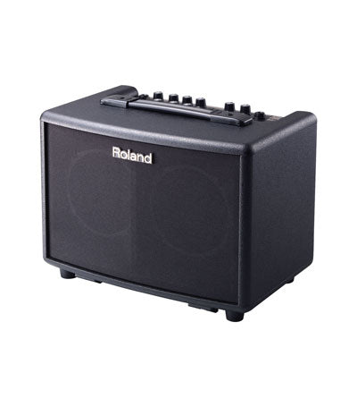 Roland AC-33-RW(M) Acoustic Chorus Guitar Amplifier