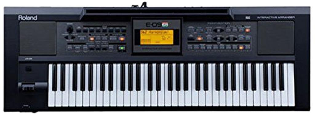 Roland E-09IN Indian Version Interactive Arranger Keyboard