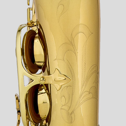 Chateau Valencay CAS-22GL Alto Saxophone - Golden