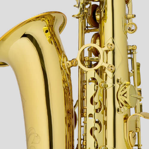 Chateau Valencay CAS-22GL Alto Saxophone - Golden