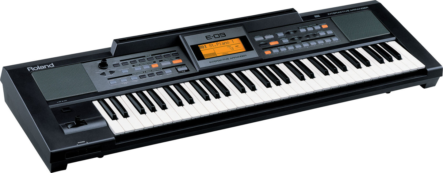 Roland E-09IN Indian Version Interactive Arranger Keyboard