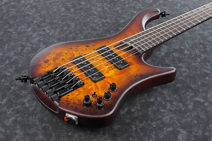 Ibanez Bass Workshop EHB1505 5 String Bass Guitar With Bag - Dragon Eye Burst Flat