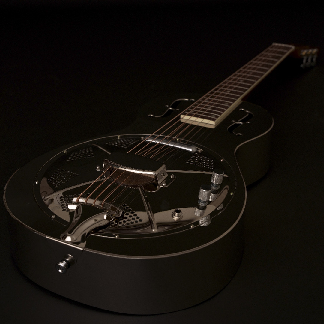 Landslide Palor Dobro Guitar