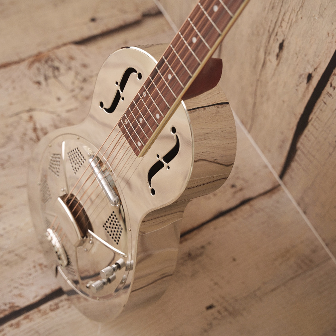 Landslide Palor Dobro Guitar