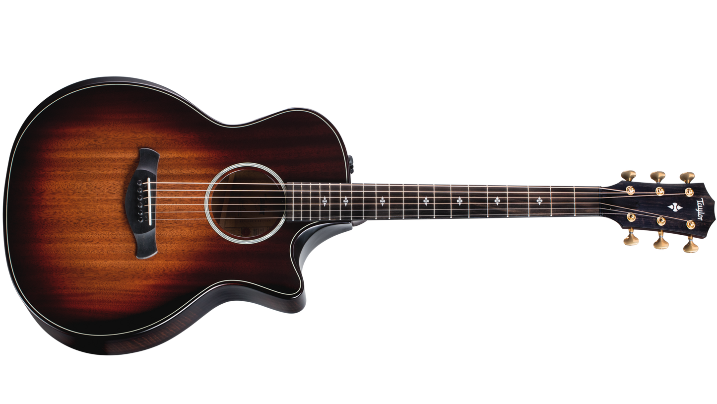 Taylor Builder's Edition 324ce 300 Series V-Class(R)Bracing Acoustic Guitar