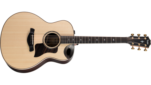 Taylor Builder's Edition 816ce 800 Series V-Class(R)Bracing Acoustic Guitar