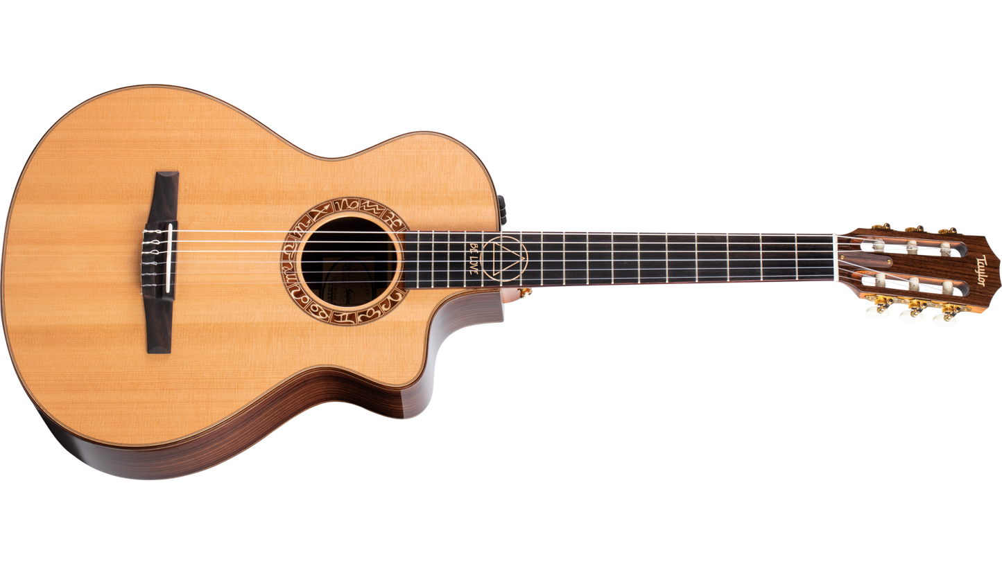 Taylor Jason Mraz Signature Model (JMSM) 700 Series Acoustic Guitar