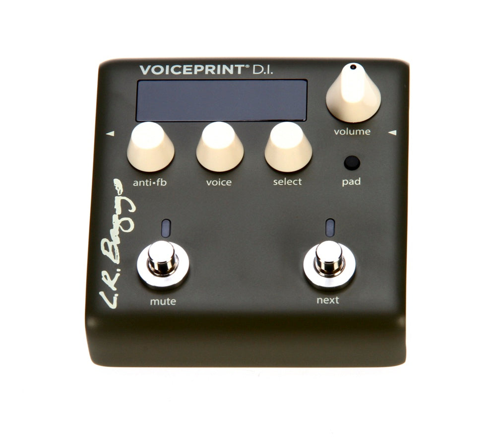 LR Baggs Voiceprint DI Acoustic Guitar Impulse Response Pedal