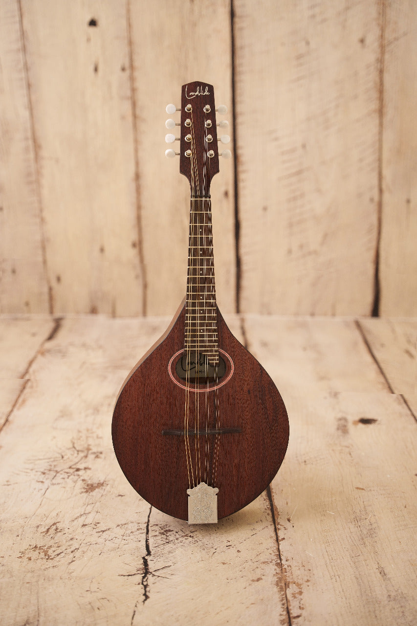 Landslide HM-1 Mandolin