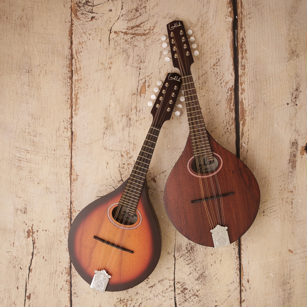 Landslide HM-1 Mandolin