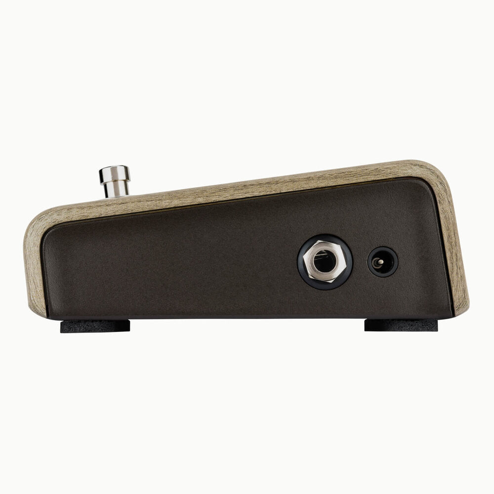 LR Baggs Align Active DI Acoustic Pedal