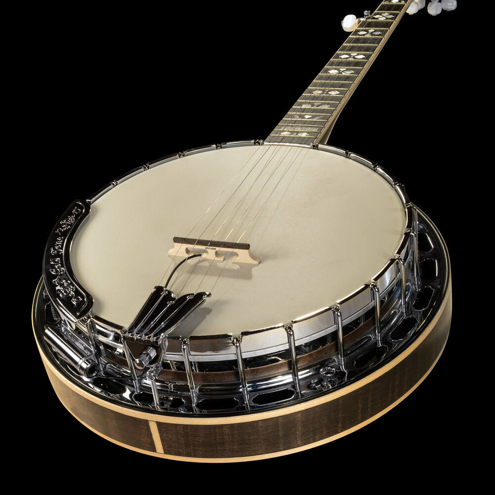 LR Baggs Banjo Pickup