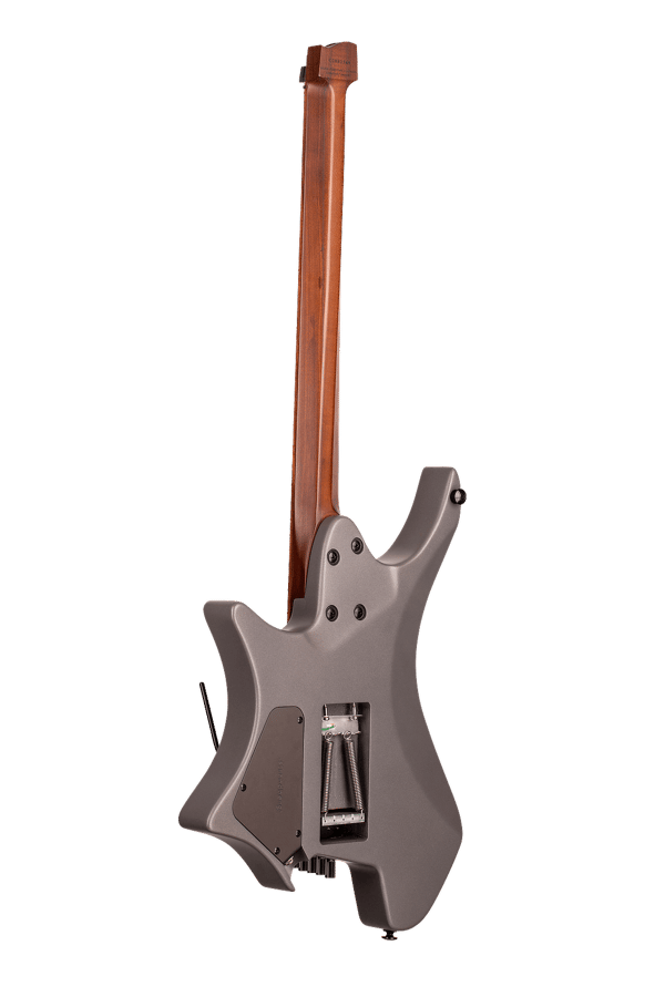 Strandberg Boden Fusion 6 LE Titanium EndurNeck Electric Guitar