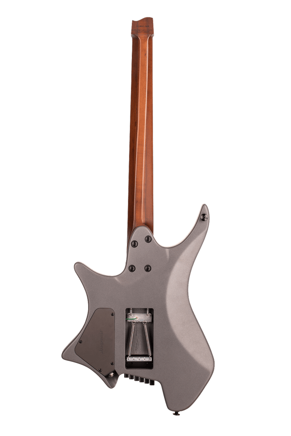 Strandberg Boden Fusion 6 LE Titanium EndurNeck Electric Guitar
