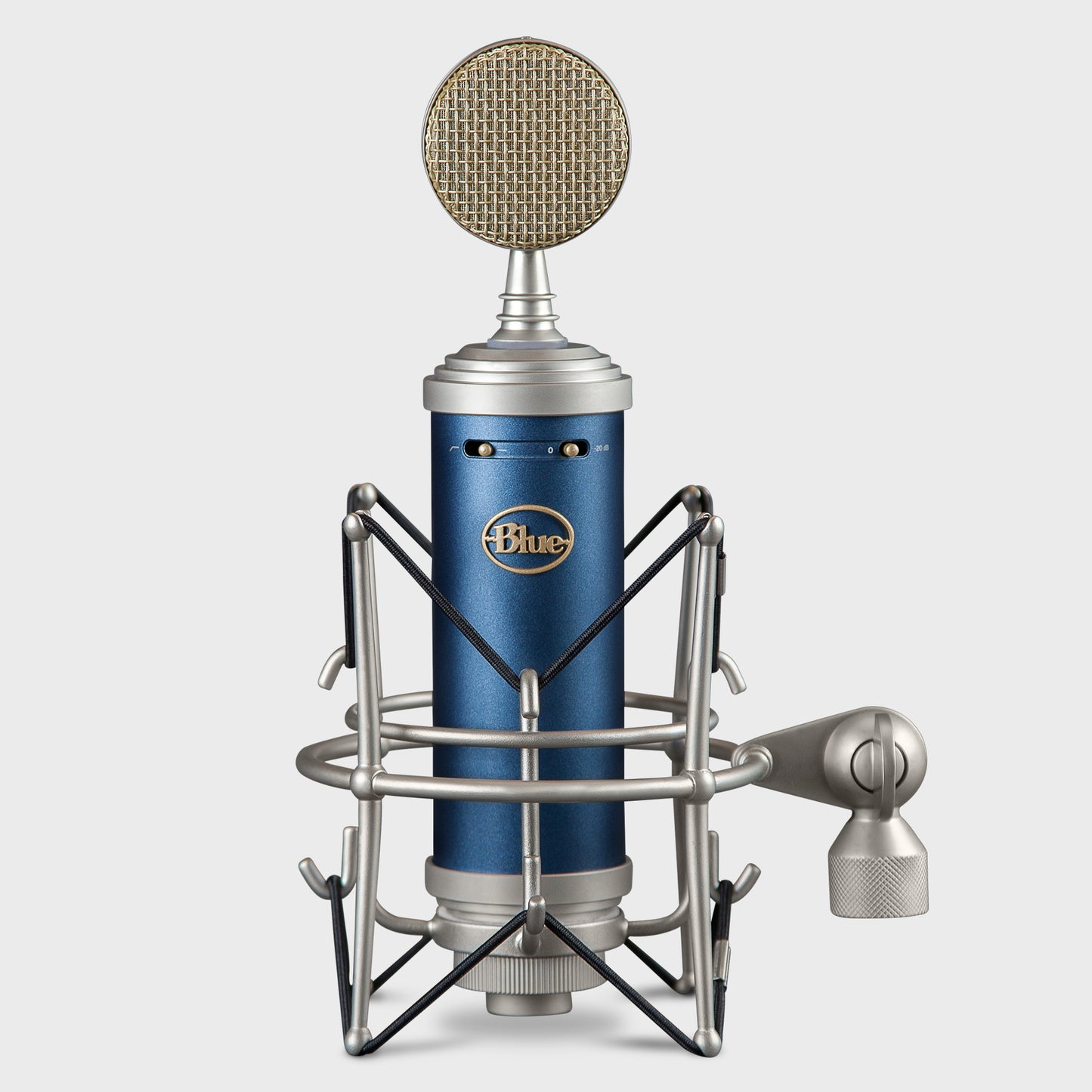 Blue Microphones Bluebird SL Large-Diaphragm Studio Condenser Microphone
