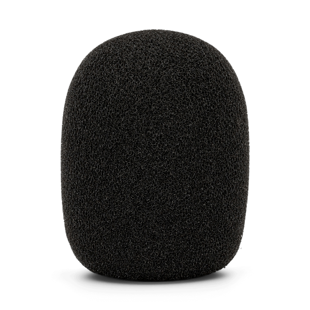 Rode WS2
Pop Filter Windshield