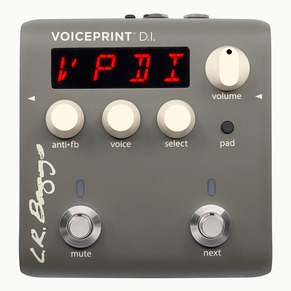 LR Baggs Voiceprint DI Acoustic Guitar Impulse Response Pedal