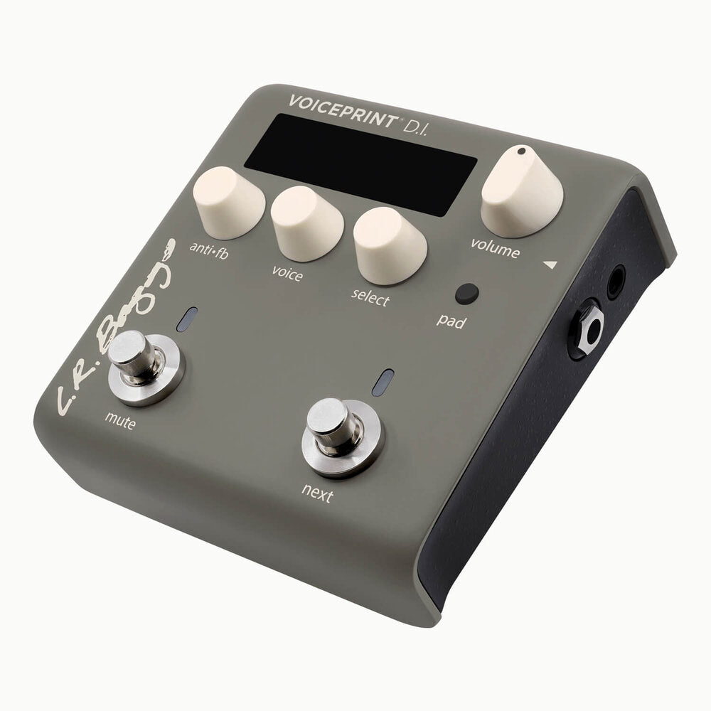 LR Baggs Voiceprint DI Acoustic Guitar Impulse Response Pedal