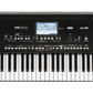 Korg PA-300 Professional Arranger Keyboard