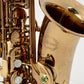 Chateau Chenonceau CAS-80C Alto Saxophone - Cognac