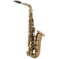 Chateau Chenonceau CAS-80C Alto Saxophone - Cognac