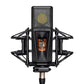 Lewitt Pure Tube Microphone Timeless Premium Sound Studio Kit