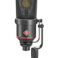 Neumann TLM 170 R-Stereo Large-diaphragm Condenser Microphone Set - Black (MT)