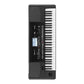 Korg PA-300 Professional Arranger Keyboard