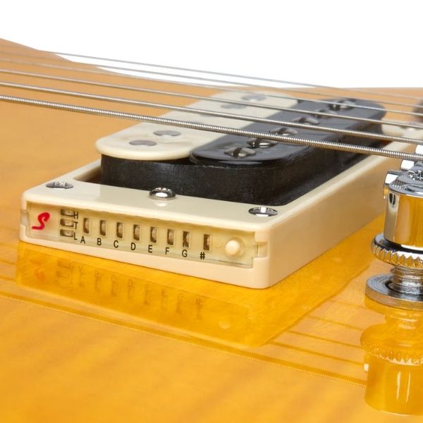 Epiphone PPGS-ENA2AANH3-EU Slash Appetite Les Paul Special-II Performance Pack 120V - Appetite Amber