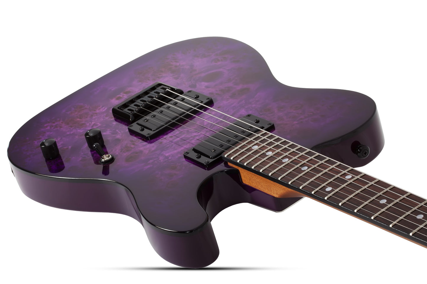 Schecter Standard Series PT STANDARD Electric Guitar - Purple Burst Burl