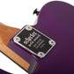 Schecter Standard Series PT STANDARD Electric Guitar - Purple Burst Burl