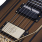 Schecter SYNYSTER GATES CUSTOM-S Electric Guitar - Satin Gold Burst (SGB)