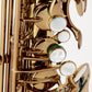 Chateau Chenonceau CAS-80C Alto Saxophone - Cognac