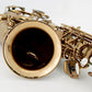 Chateau Chenonceau CAS-80C Alto Saxophone - Cognac