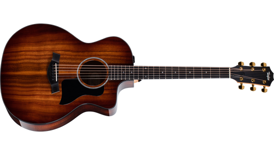 Taylor 224ce-K DLX 200 Series Acoustic Guitar