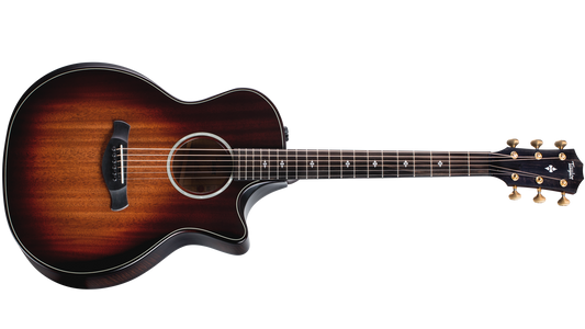 Taylor Builder's Edition 324ce 300 Series V-Class(R)Bracing Acoustic Guitar
