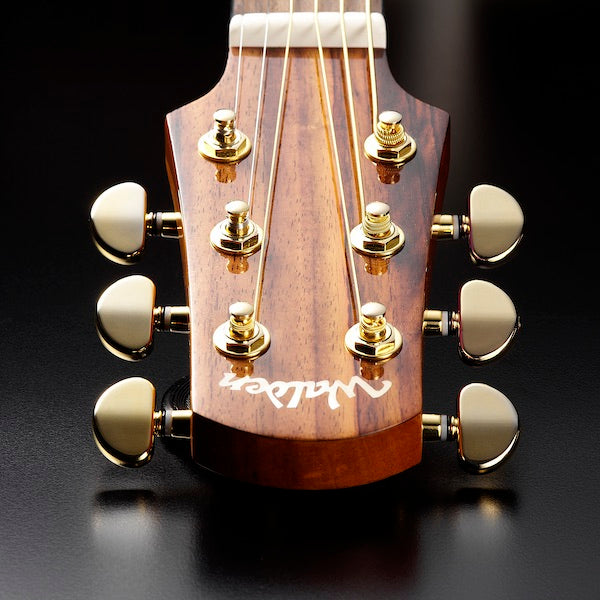 Walden acoustic guitar price hotsell