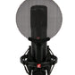 sE Electronics sE2200 Large-diaphragm Condenser Microphone